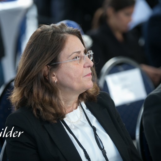 Nivlin - Steinmeier-1205.jpg   