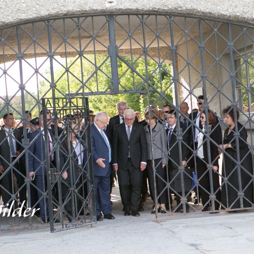 Nivlin - Steinmeier-4953.jpg   