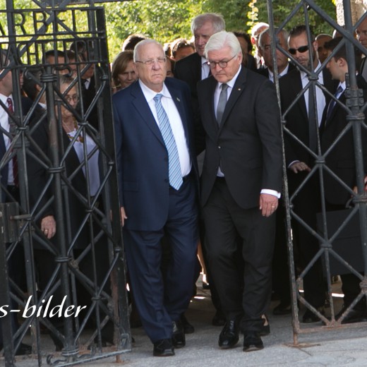 Nivlin - Steinmeier-4954.jpg   