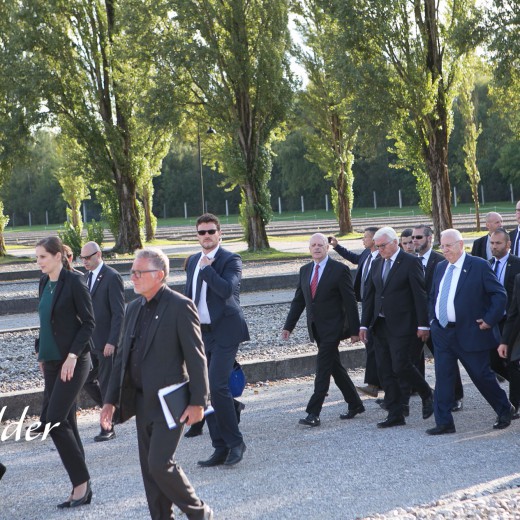 Nivlin - Steinmeier-5064.jpg   