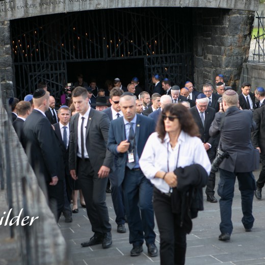 Nivlin - Steinmeier-5122.jpg   