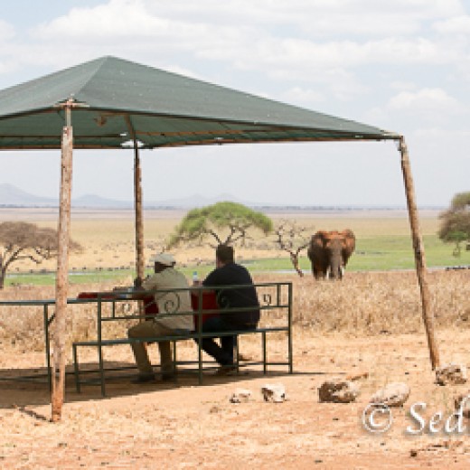 Elefant-9898.jpg   Elefanten, Tansania, Serengeti, Safari
Foto: © Johann Sedlmayr - s8-foto.de