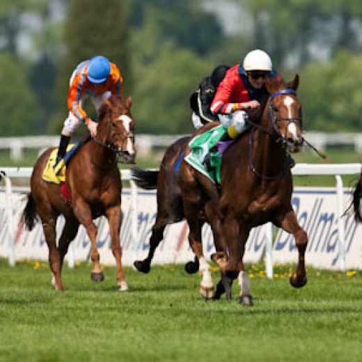 -6428.jpg   Galopprennen  in München - Riem
Pferderennen - Galopp - Pferde - Jockey
Foto: © Sedlmayr - s8-foto.de
