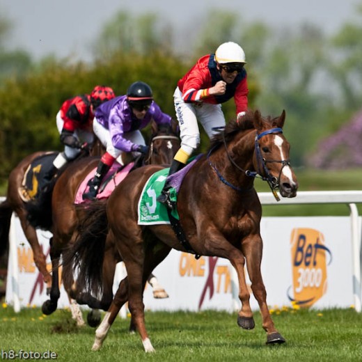 -6431.jpg   Galopprennen  in München - Riem
Pferderennen - Galopp - Pferde - Jockey
Foto: © Sedlmayr - s8-foto.de