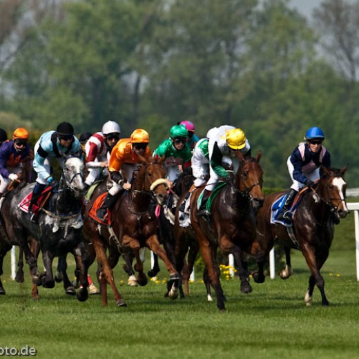-6463.jpg   Galopprennen  in München - Riem
Pferderennen - Galopp - Pferde - Jockey
Foto: © Sedlmayr - s8-foto.de