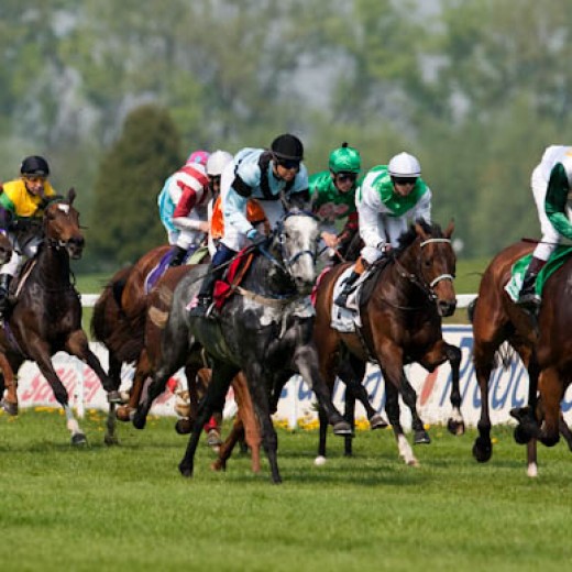 -6470.jpg   Galopprennen  in München - Riem
Pferderennen - Galopp - Pferde - Jockey
Foto: © Sedlmayr - s8-foto.de