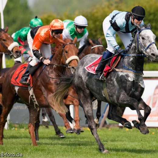 -6474.jpg   Galopprennen  in München - Riem
Pferderennen - Galopp - Pferde - Jockey
Foto: © Sedlmayr - s8-foto.de