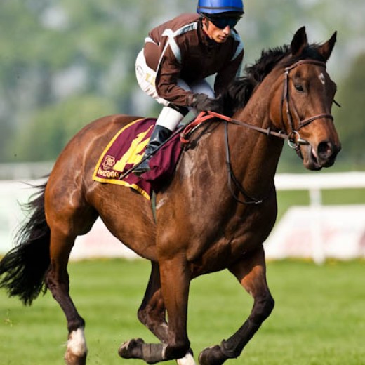 -6792.jpg   Galopprennen  in München - Riem
Pferderennen - Galopp - Pferde - Jockey
Foto: © Sedlmayr - s8-foto.de