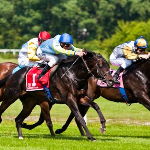 h8-1437.jpg   Galopprennen  in München - Riem
Pferderennen - Galopp - Pferde - Jockey
Foto: © Sedlmayr - s8-foto.de