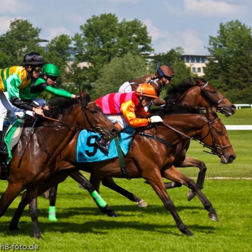 h8-1471.jpg   Galopprennen  in München - Riem
Pferderennen - Galopp - Pferde - Jockey
Foto: © Sedlmayr - s8-foto.de