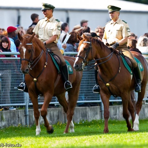 h8-1495.jpg   Galopprennen  in München - Riem
Pferderennen - Galopp - Pferde - Jockey
Foto: © Sedlmayr - s8-foto.de