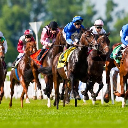 h8-1518.jpg   Galopprennen  in München - Riem
Pferderennen - Galopp - Pferde - Jockey
Foto: © Sedlmayr - s8-foto.de