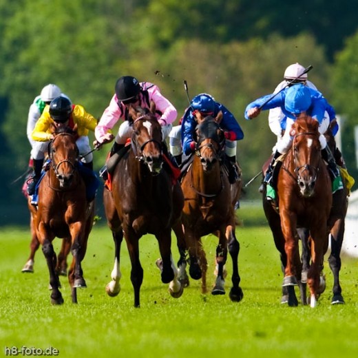 h8-1549.jpg   Galopprennen  in München - Riem
Pferderennen - Galopp - Pferde - Jockey
Foto: © Sedlmayr - s8-foto.de