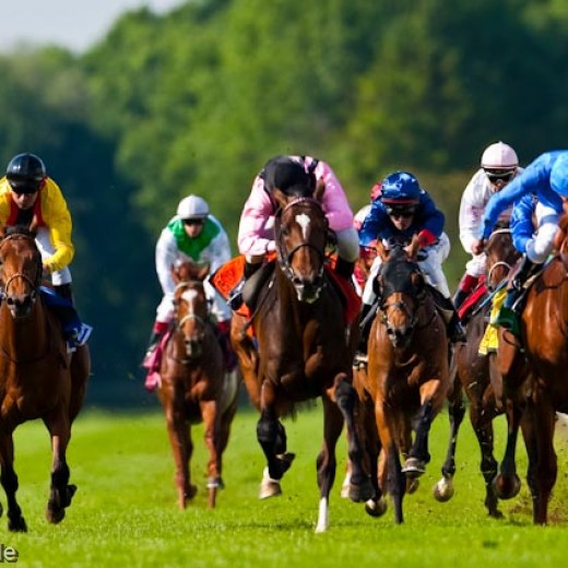 h8-1552.jpg   Galopprennen  in München - Riem
Pferderennen - Galopp - Pferde - Jockey
Foto: © Sedlmayr - s8-foto.de