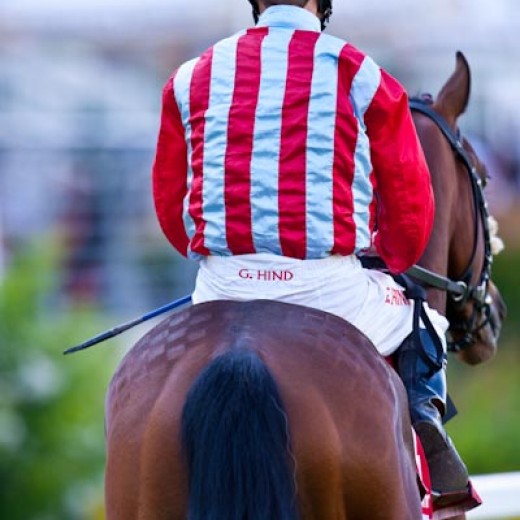 h8-1565.jpg   Galopprennen  in München - Riem
Pferderennen - Galopp - Pferde - Jockey
Foto: © Sedlmayr - s8-foto.de