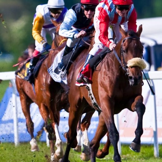 h8-1590.jpg   Galopprennen  in München - Riem
Pferderennen - Galopp - Pferde - Jockey
Foto: © Sedlmayr - s8-foto.de