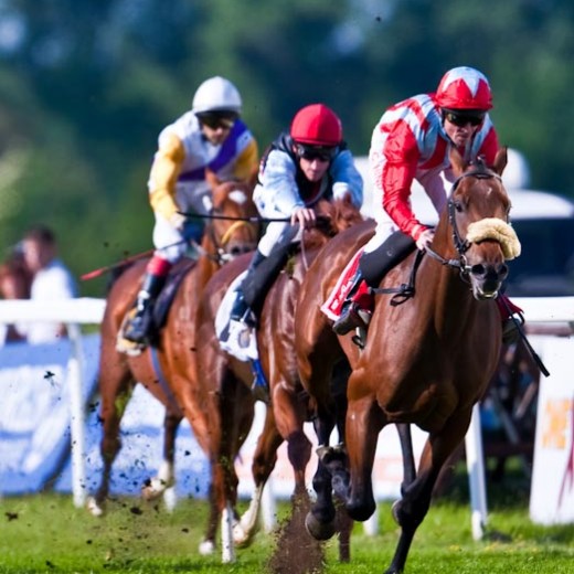 h8-1592.jpg   Galopprennen  in München - Riem
Pferderennen - Galopp - Pferde - Jockey
Foto: © Sedlmayr - s8-foto.de