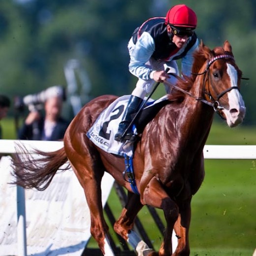 h8-1594.jpg   Galopprennen  in München - Riem
Pferderennen - Galopp - Pferde - Jockey
Foto: © Sedlmayr - s8-foto.de