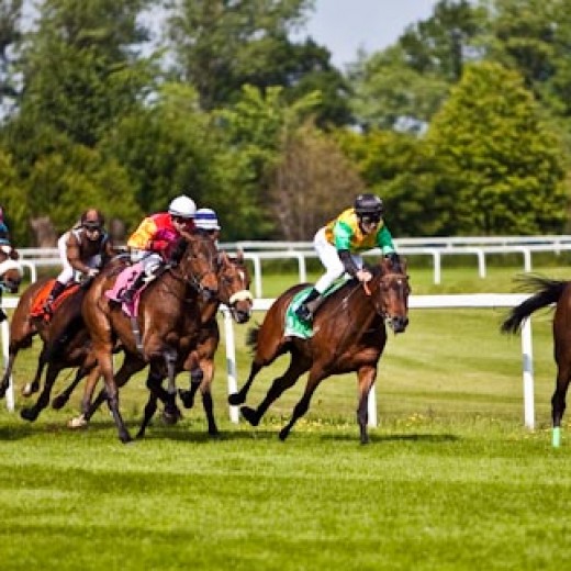 h8-1793.jpg   Galopprennen  in München - Riem
Pferderennen - Galopp - Pferde - Jockey
Foto: © Sedlmayr - s8-foto.de