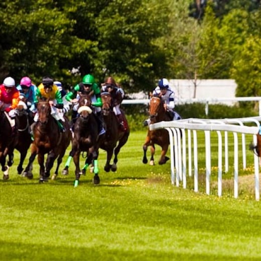 h8-1790.jpg   Galopprennen  in München - Riem
Pferderennen - Galopp - Pferde - Jockey
Foto: © Sedlmayr - s8-foto.de