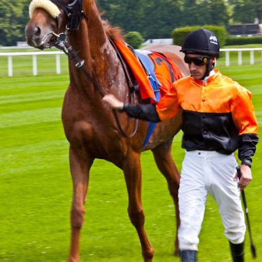 h8-1804.jpg   Galopprennen  in München - Riem
Pferderennen - Galopp - Pferde - Jockey
Foto: © Sedlmayr - s8-foto.de
