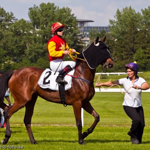 h8-1812.jpg   Galopprennen  in München - Riem
Pferderennen - Galopp - Pferde - Jockey
Foto: © Sedlmayr - s8-foto.de