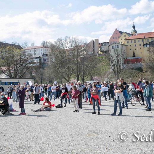 20210410-unbenannt-2-76GÖNSE JPG.jpg   Corona - Demo in Dachau auf der Ludwig-Thoma-Wiese  - Foto:© Johann Sedlmayr  s8-foto.de