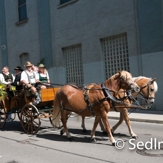 Volksfesteinzug 2022-2619.jpg   Dachauer Volksfest 2022
Einzug vom Rathaus zum Volksfest