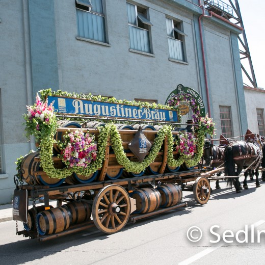 Volksfesteinzug 2022-2623.jpg   Dachauer Volksfest 2022
Einzug vom Rathaus zum Volksfest