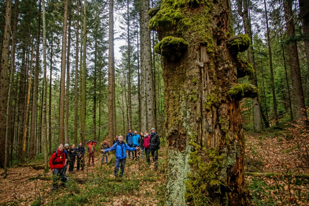 1-NPV BW - VM 114-20 Bildungsperspektiven für die National parkarbeit.JPG   Foto: Philipp Seyfried/Nationalpark Bayerischer Wald)