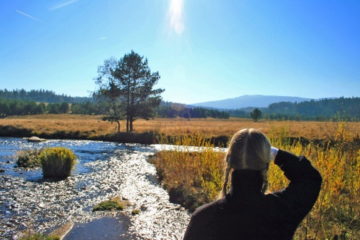 Vier Tage durch die Wildnis.jpg   Foto: Lucia Pec/Nationalpark Šumava